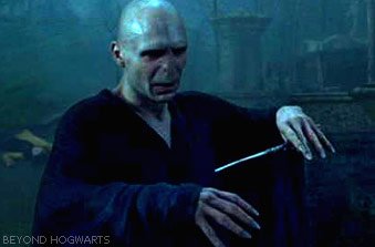 voldy2