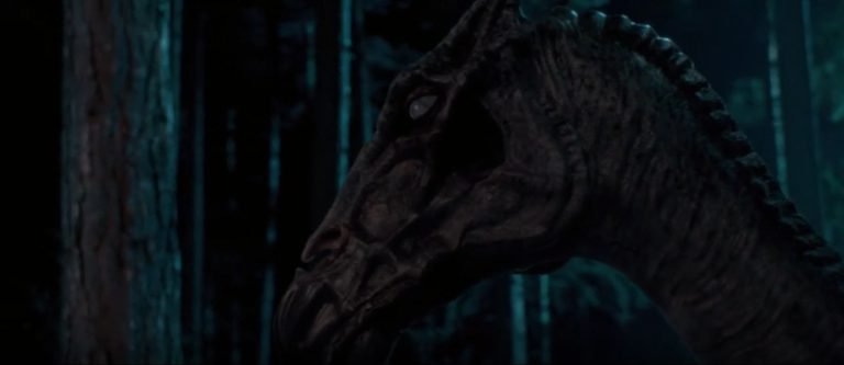 beasts, beings, & spirits a brief history on classification in harry potter
