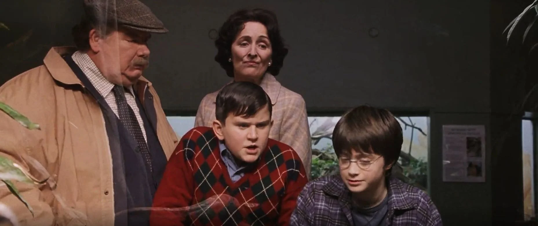 harry potter actors talk about their native ireland