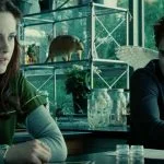 into the twilight once more everything we know about the upcoming twilight tv series