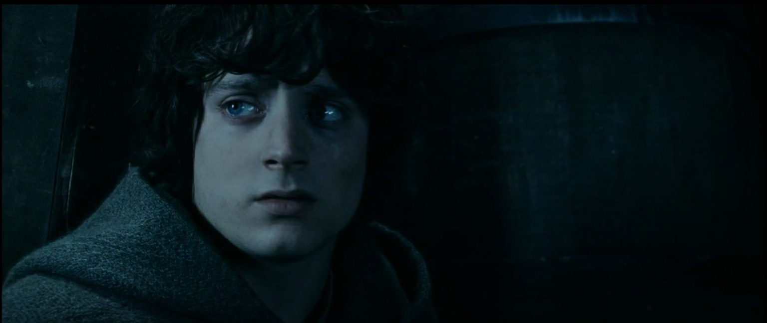 Frodo Reflection Frodo Baggins - Lord of the Rings Character Biography & Information ...